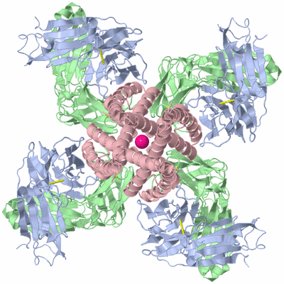 Image Biological Unit 1