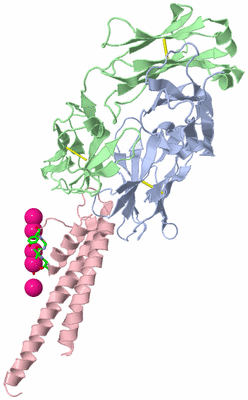 Image Asym. Unit - sites