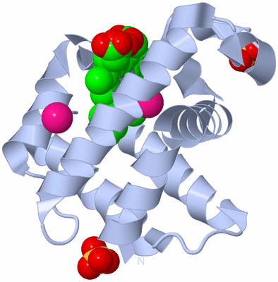 Image Biological Unit 1