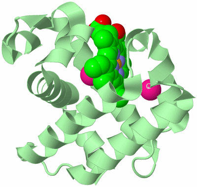 Image Biological Unit 2