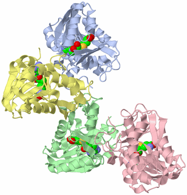 Image Asymmetric Unit