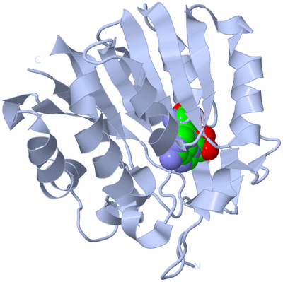 Image Biological Unit 1