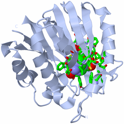 Image Biol. Unit 1 - sites