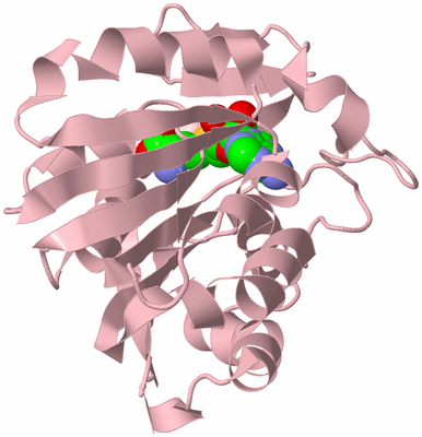 Image Biological Unit 3