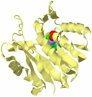 Image Biological Unit 4