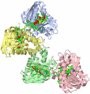 Image Asym. Unit - sites