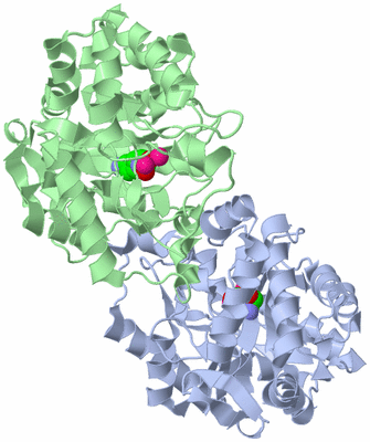 Image Biological Unit 3