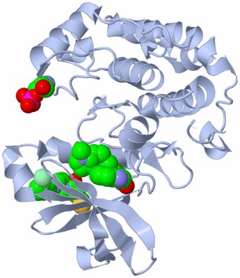 Image Biological Unit 1