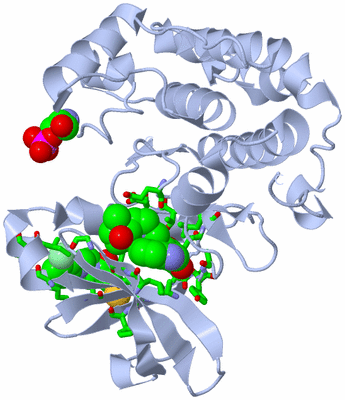 Image Biol. Unit 1 - sites