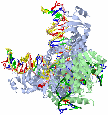 Image Biological Unit 1