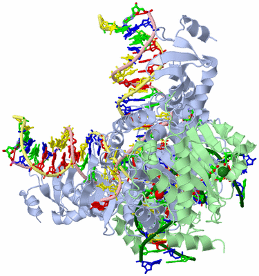 Image Biol. Unit 1 - sites