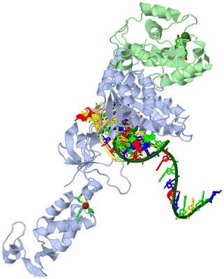 Image Asym. Unit - sites