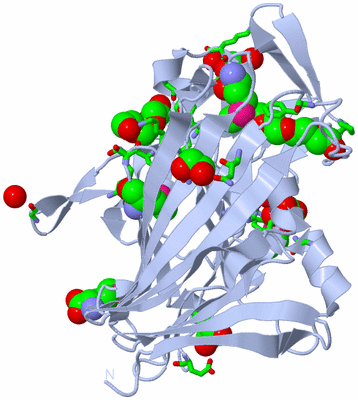 Image Biol. Unit 1 - sites