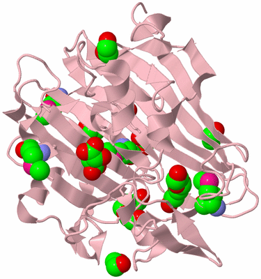 Image Biological Unit 3