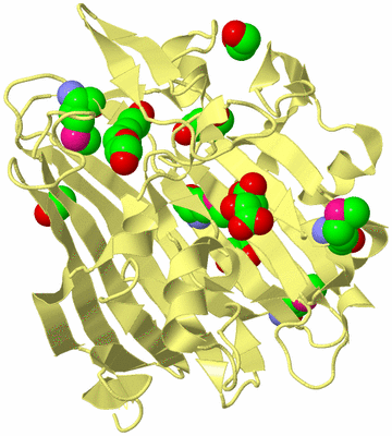 Image Biological Unit 4