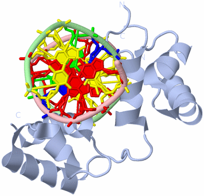 Image Biological Unit 1