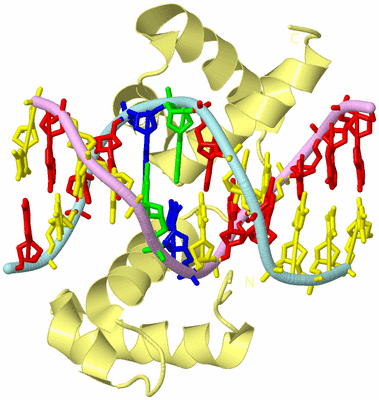 Image Biological Unit 2