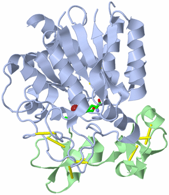 Image Biol. Unit 1 - sites