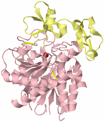 Image Biological Unit 2