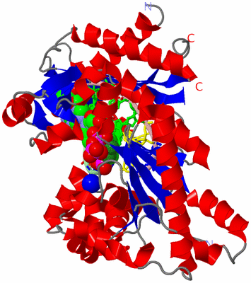 Image Asym./Biol. Unit