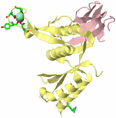 Image Asym./Biol. Unit - sites