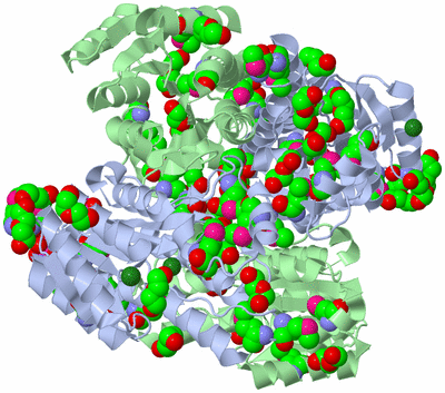 Image Biological Unit 1