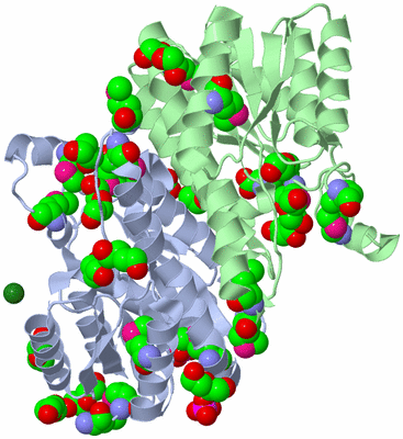 Image Biological Unit 2