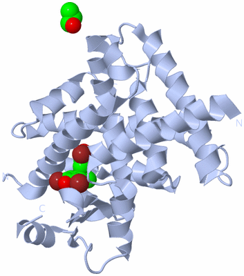 Image Biological Unit 1