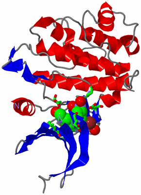 Image Asym./Biol. Unit - sites