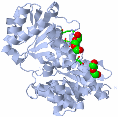 Image Biol. Unit 1 - sites