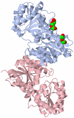 Image Biological Unit 5