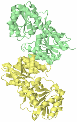 Image Biological Unit 6