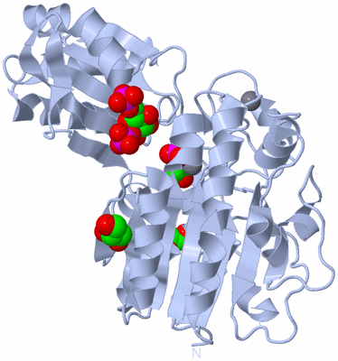 Image Biological Unit 1