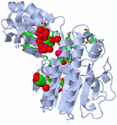 Image Biol. Unit 1 - sites