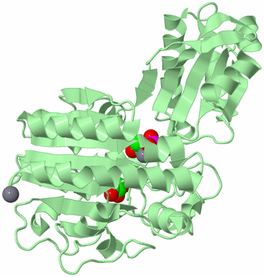 Image Biological Unit 2