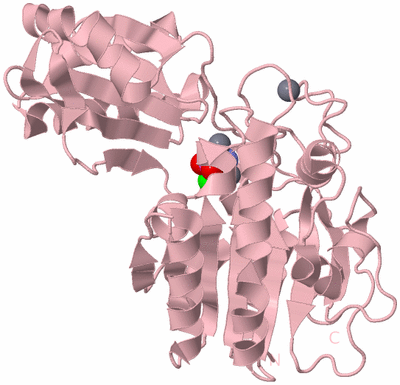 Image Biological Unit 3