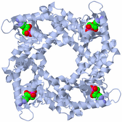 Image Biological Unit 1