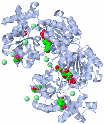 Image Biological Unit 2