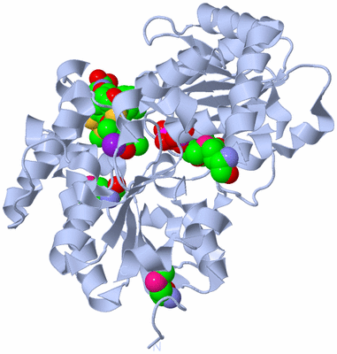 Image Biological Unit 1