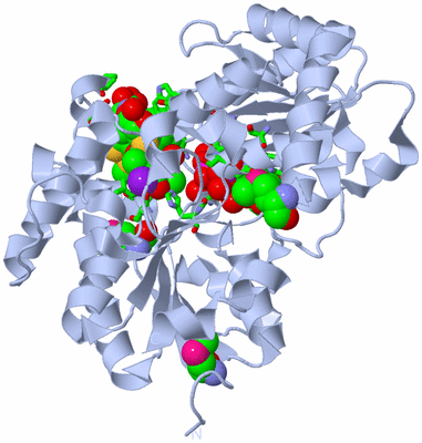 Image Biol. Unit 1 - sites