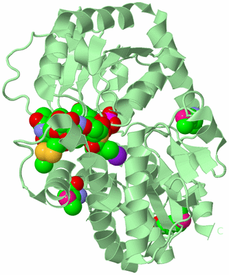 Image Biological Unit 2