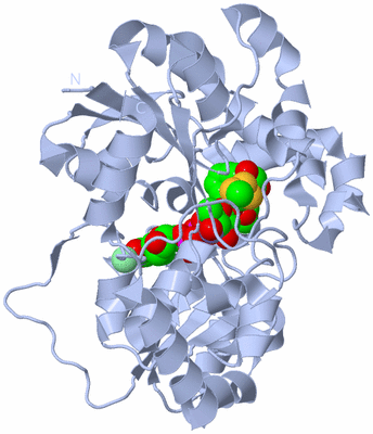 Image Biological Unit 1