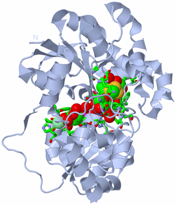 Image Biol. Unit 1 - sites