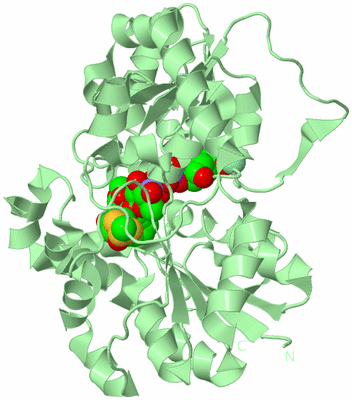 Image Biological Unit 2