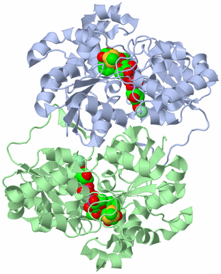 Image Biological Unit 3