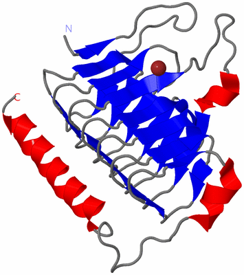 Image Asymmetric Unit