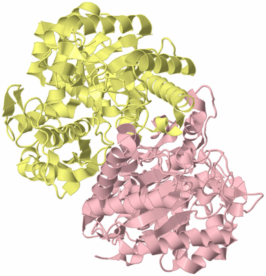 Image Biological Unit 2