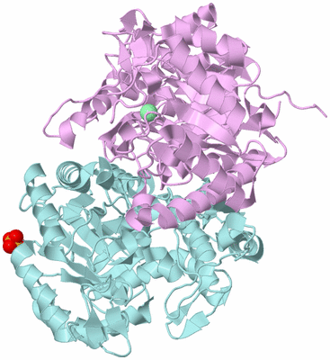 Image Biological Unit 3