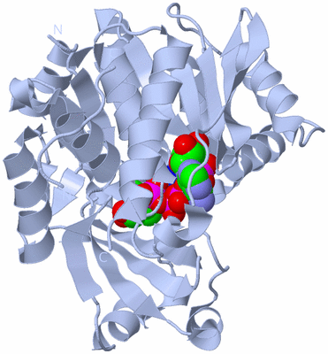 Image Biological Unit 1