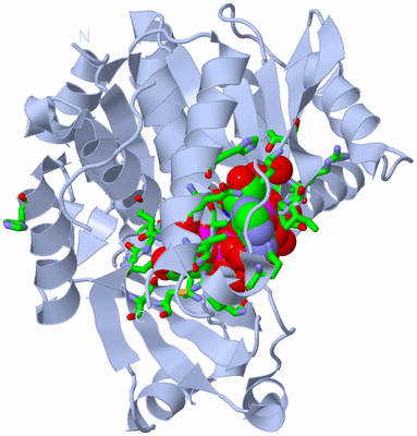 Image Biol. Unit 1 - sites